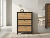 Тумба "Loft SFB3B/50" / Дуб Вотан